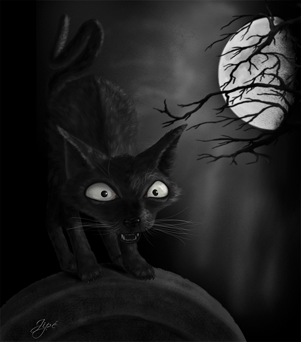 chat-noir