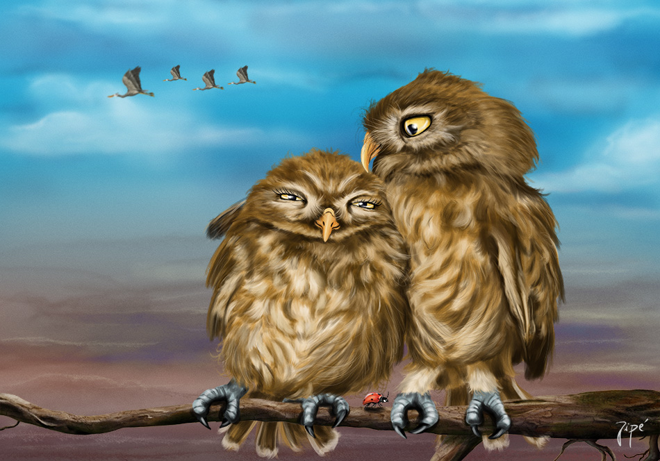 love-is-owl2-web