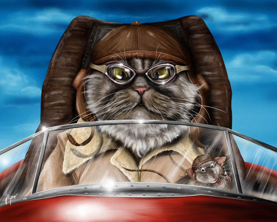 chat-pilote